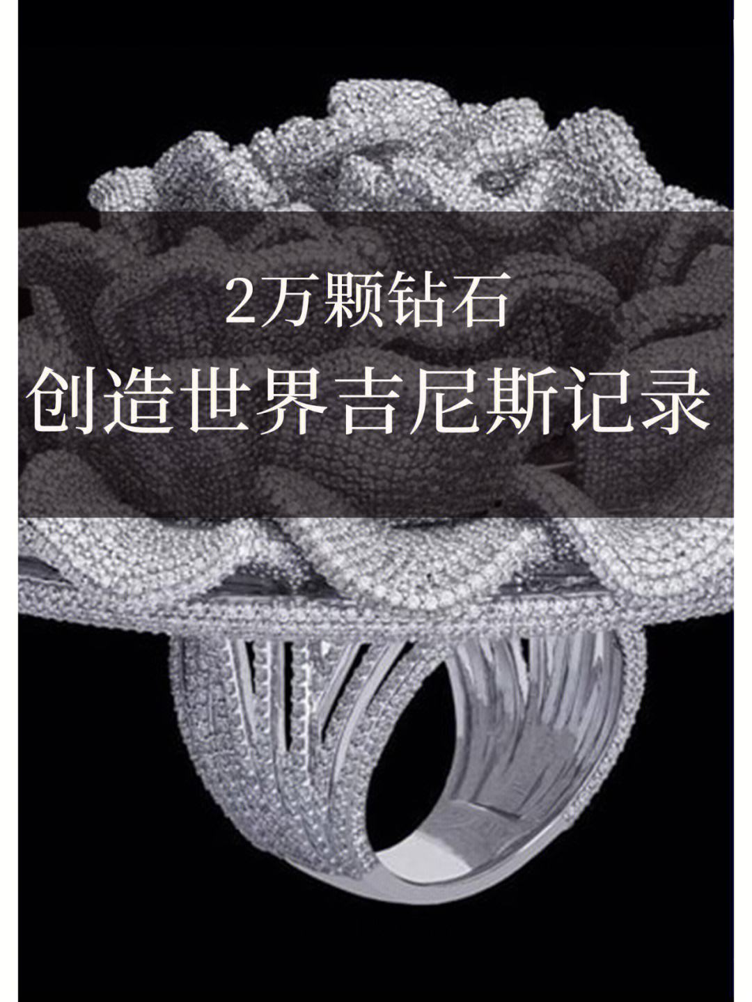 钻石tv客户端银河tv港澳台破解版下载