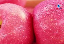 虾哔哔苹果版哔嘀影视苹果版本下载-第2张图片-太平洋在线下载